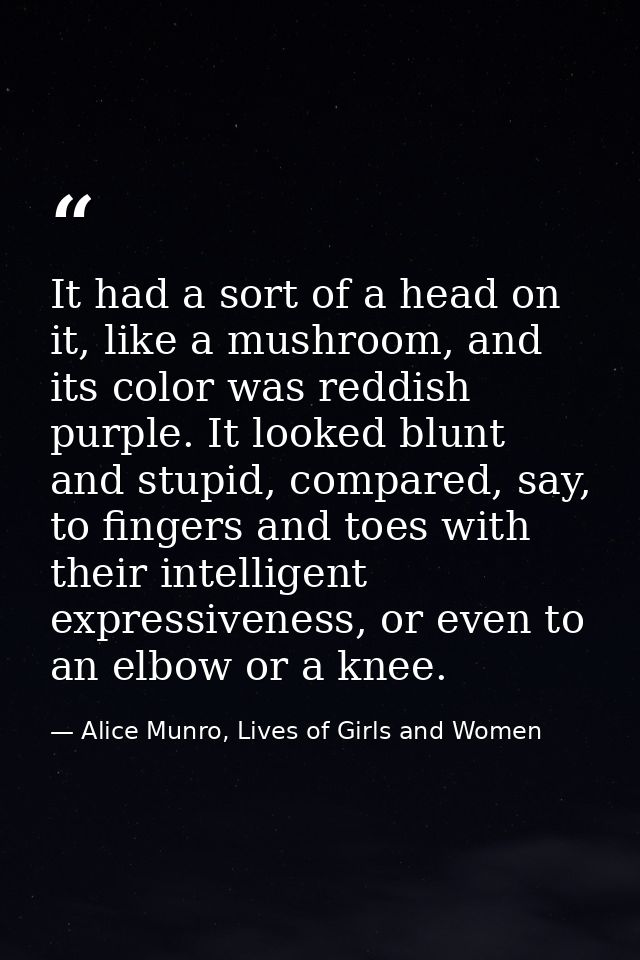 It had a sort of a head on it, like a mushroom, and its color was reddish purple. It looked blunt and stupid, compared,  — Alice Munro, Lives of Girls and Women