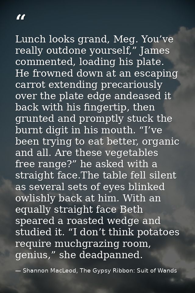 Lunch looks grand, Meg. You’ve really outdone yourself,” James commented, loading his plate. He frowned down at an escap — Shannon MacLeod, The Gypsy Ribbon: Suit of Wands