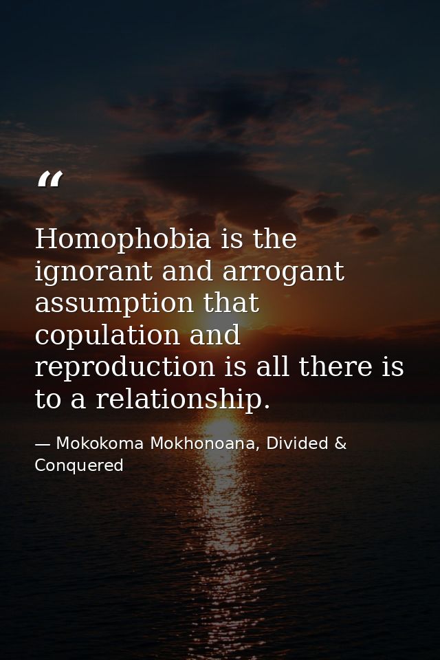 Homophobia is the ignorant and arrogant assumption that copulation and reproduction is all there is to a relationship. — Mokokoma Mokhonoana, Divided & Conquered