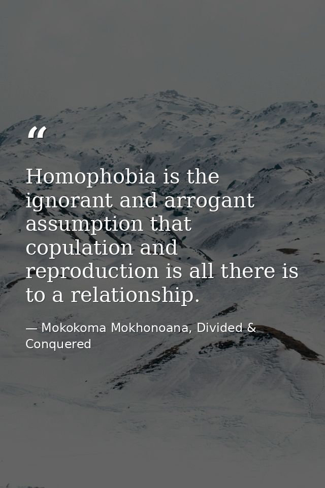 Homophobia is the ignorant and arrogant assumption that copulation and reproduction is all there is to a relationship. — Mokokoma Mokhonoana, Divided & Conquered