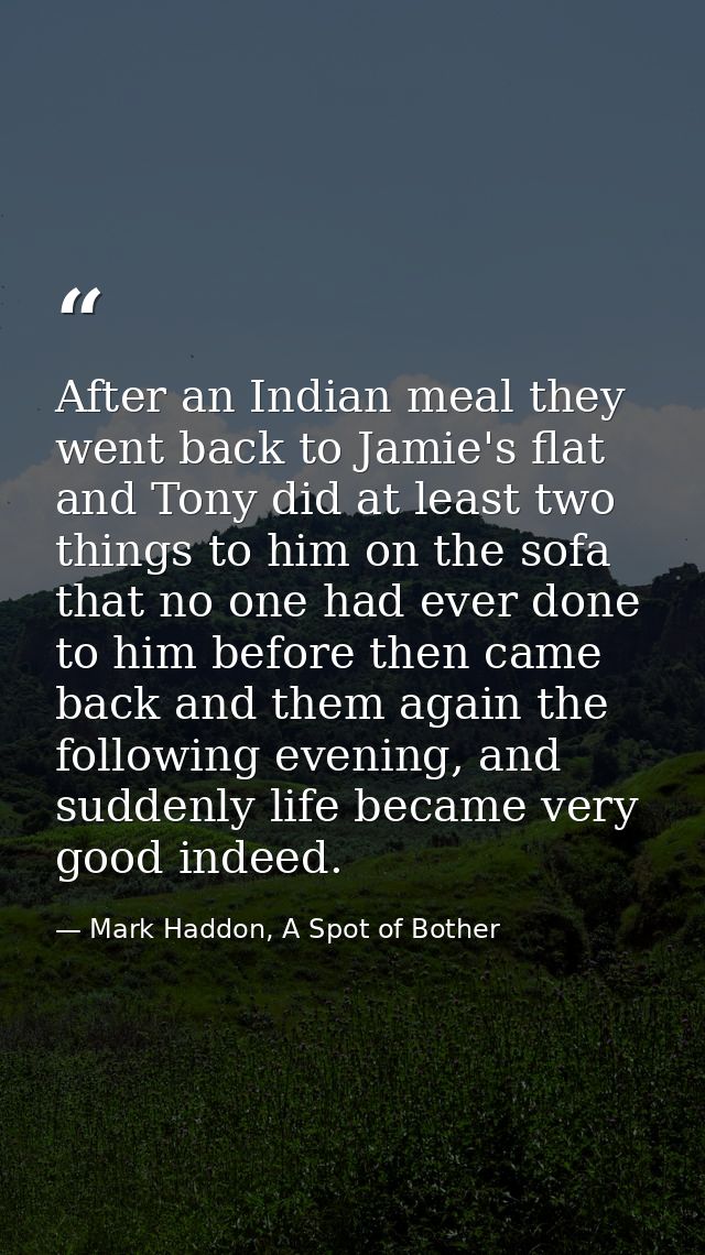 After an Indian meal they went back to Jamie's flat and Tony did at least two things to him on the sofa that no one had  — Mark Haddon, A Spot of Bother