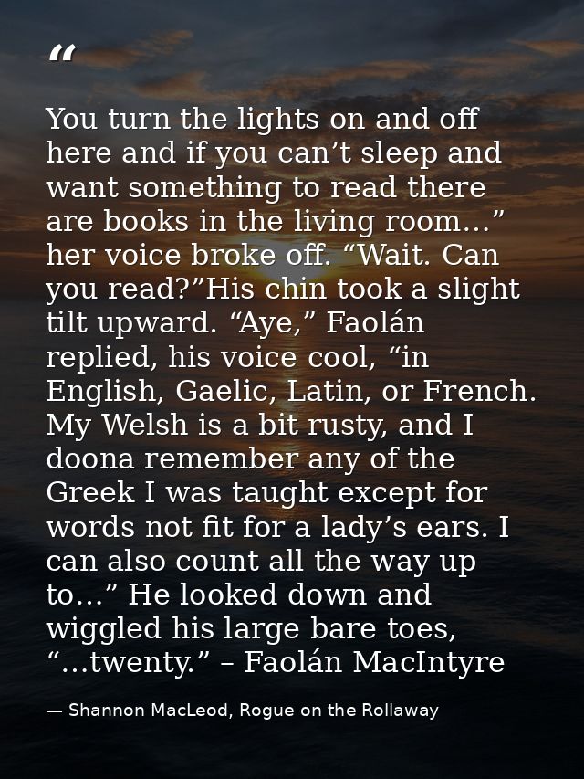 You turn the lights on and off here and if you can’t sleep and want something to read there are books in the living room — Shannon MacLeod, Rogue on the Rollaway