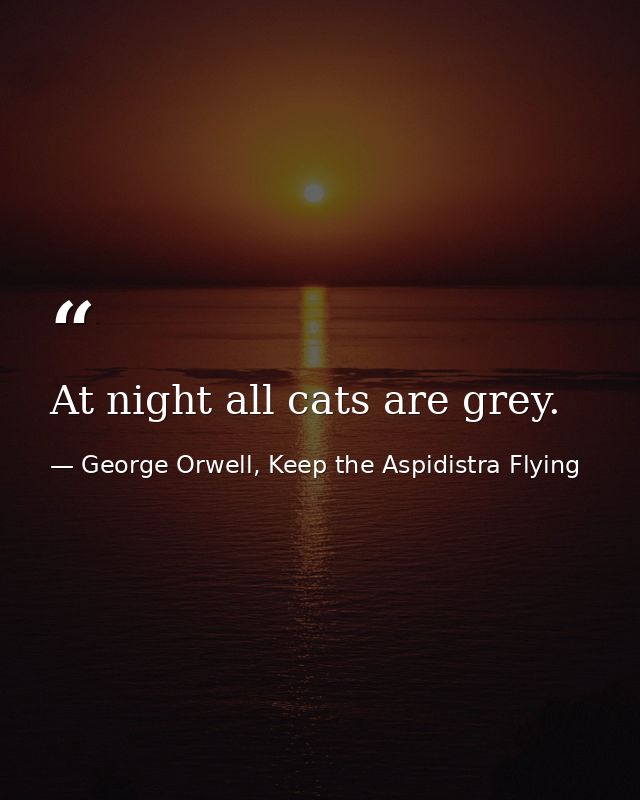 At night all cats are grey. — George Orwell, Keep the Aspidistra Flying