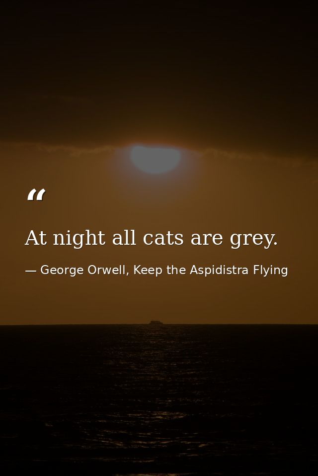 At night all cats are grey. — George Orwell, Keep the Aspidistra Flying