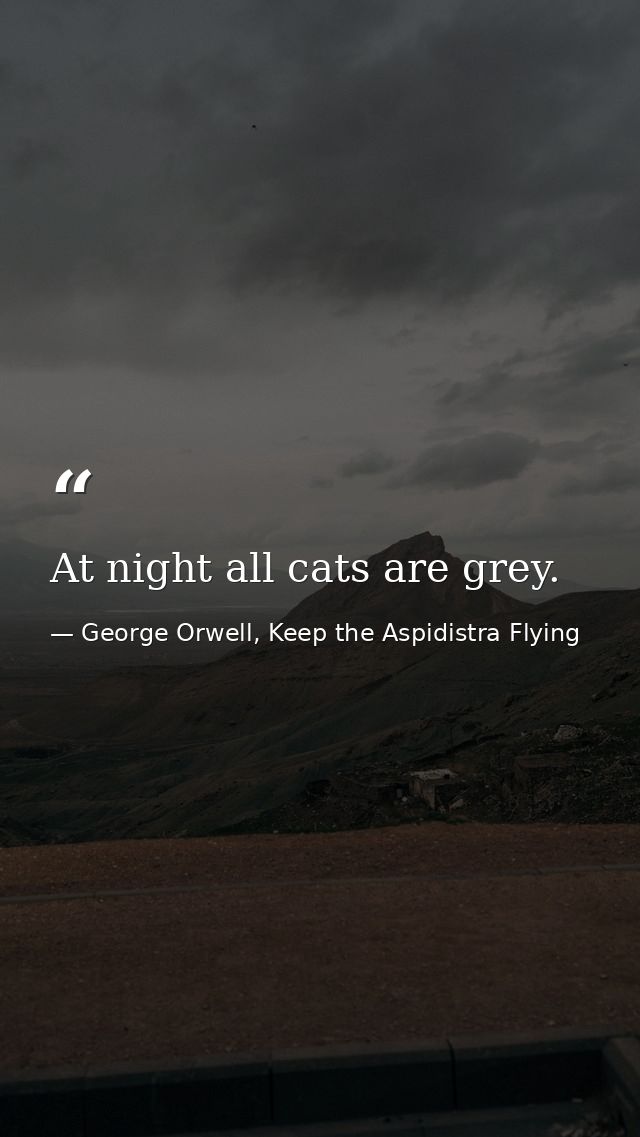 At night all cats are grey. — George Orwell, Keep the Aspidistra Flying