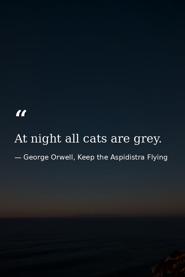 At night all cats are grey. — George Orwell, Keep the Aspidistra Flying