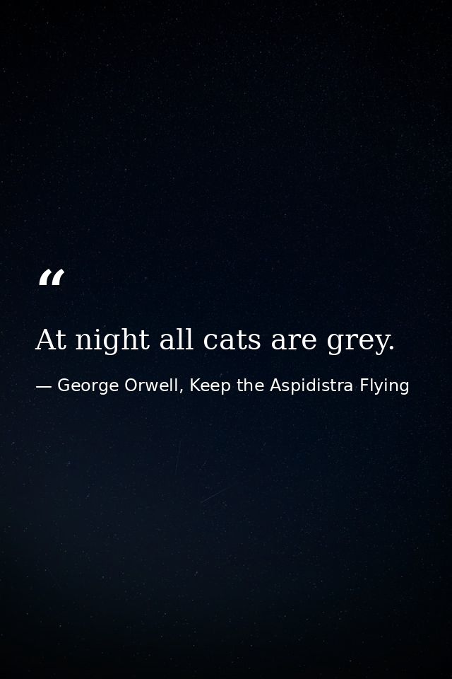 At night all cats are grey. — George Orwell, Keep the Aspidistra Flying