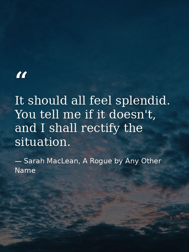 It should all feel splendid. You tell me if it doesn't, and I shall rectify the situation. — Sarah MacLean, A Rogue by Any Other Name
