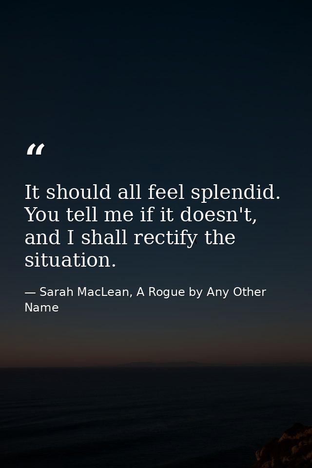 It should all feel splendid. You tell me if it doesn't, and I shall rectify the situation. — Sarah MacLean, A Rogue by Any Other Name