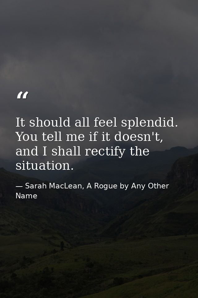 It should all feel splendid. You tell me if it doesn't, and I shall rectify the situation. — Sarah MacLean, A Rogue by Any Other Name