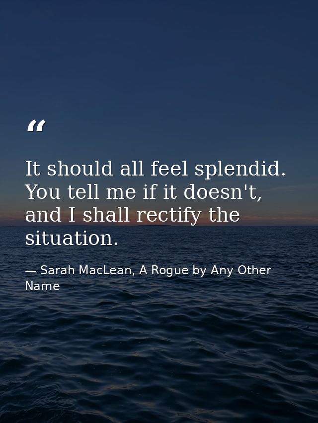 It should all feel splendid. You tell me if it doesn't, and I shall rectify the situation. — Sarah MacLean, A Rogue by Any Other Name