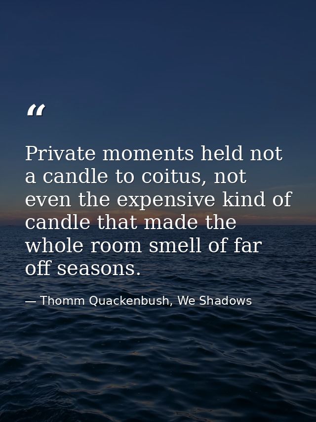 Private moments held not a candle to coitus, not even the expensive kind of candle that made the whole room smell of far — Thomm Quackenbush, We Shadows