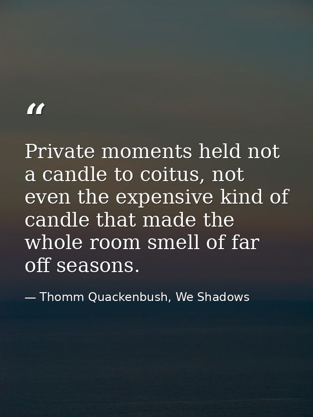 Private moments held not a candle to coitus, not even the expensive kind of candle that made the whole room smell of far — Thomm Quackenbush, We Shadows