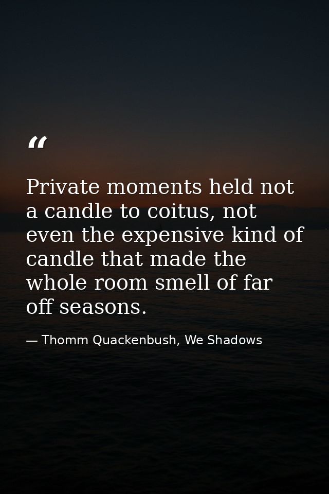 Private moments held not a candle to coitus, not even the expensive kind of candle that made the whole room smell of far — Thomm Quackenbush, We Shadows
