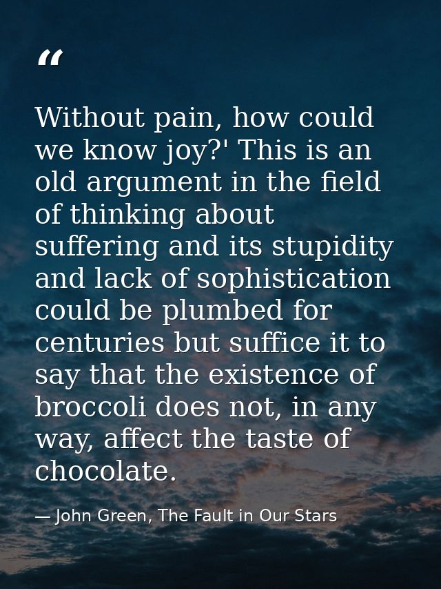 Without pain, how could we know joy?' This is an old argument in the field of thinking about suffering and its stupidity — John Green, The Fault in Our Stars