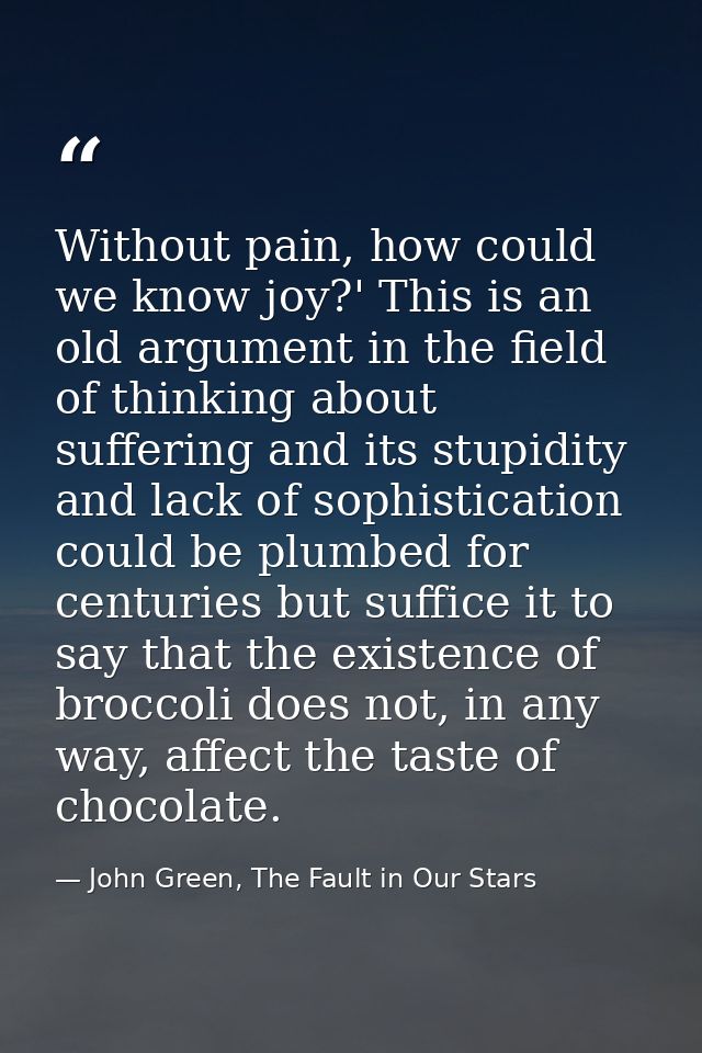 Without pain, how could we know joy?' This is an old argument in the field of thinking about suffering and its stupidity — John Green, The Fault in Our Stars
