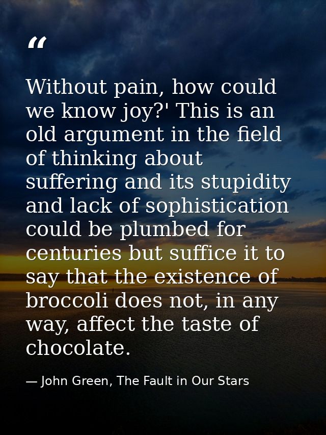 Without pain, how could we know joy?' This is an old argument in the field of thinking about suffering and its stupidity — John Green, The Fault in Our Stars