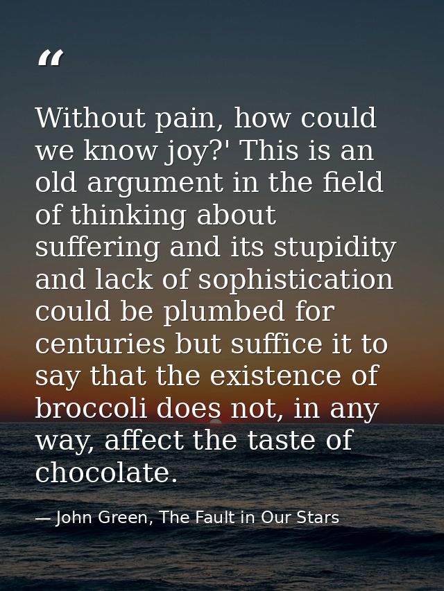 Without pain, how could we know joy?' This is an old argument in the field of thinking about suffering and its stupidity — John Green, The Fault in Our Stars