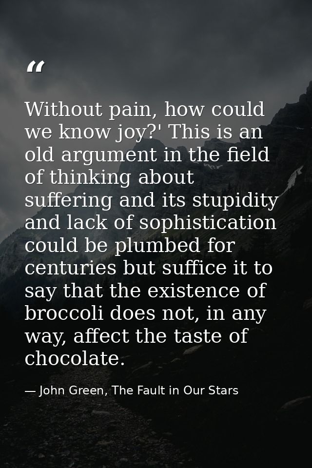 Without pain, how could we know joy?' This is an old argument in the field of thinking about suffering and its stupidity — John Green, The Fault in Our Stars