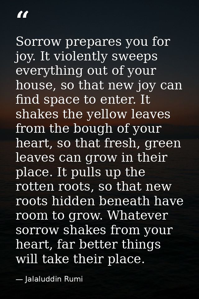 Sorrow prepares you for joy. It violently sweeps everything out of your house, so that new joy can find space to enter.  — Jalaluddin Rumi