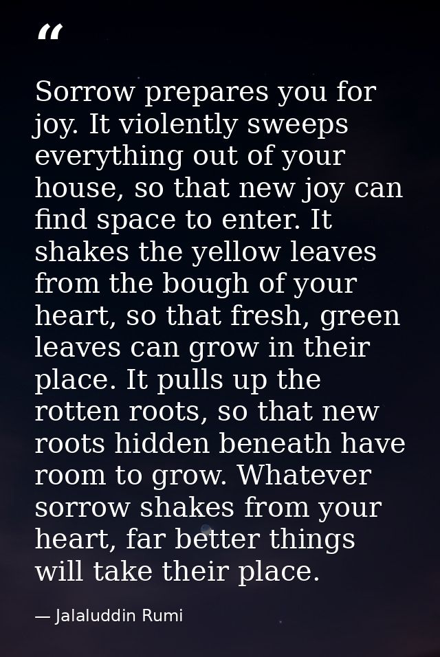 Sorrow prepares you for joy. It violently sweeps everything out of your house, so that new joy can find space to enter.  — Jalaluddin Rumi