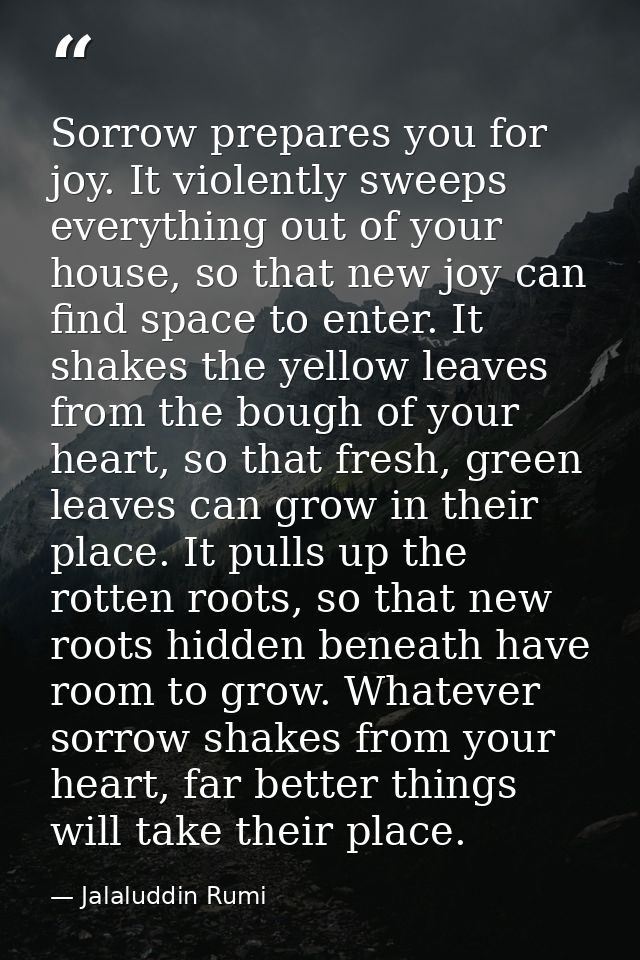 Sorrow prepares you for joy. It violently sweeps everything out of your house, so that new joy can find space to enter.  — Jalaluddin Rumi