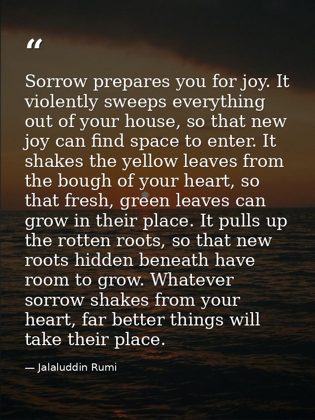 Sorrow prepares you for joy. It violently sweeps everything out of your house, so that new joy can find space to enter.  — Jalaluddin Rumi
