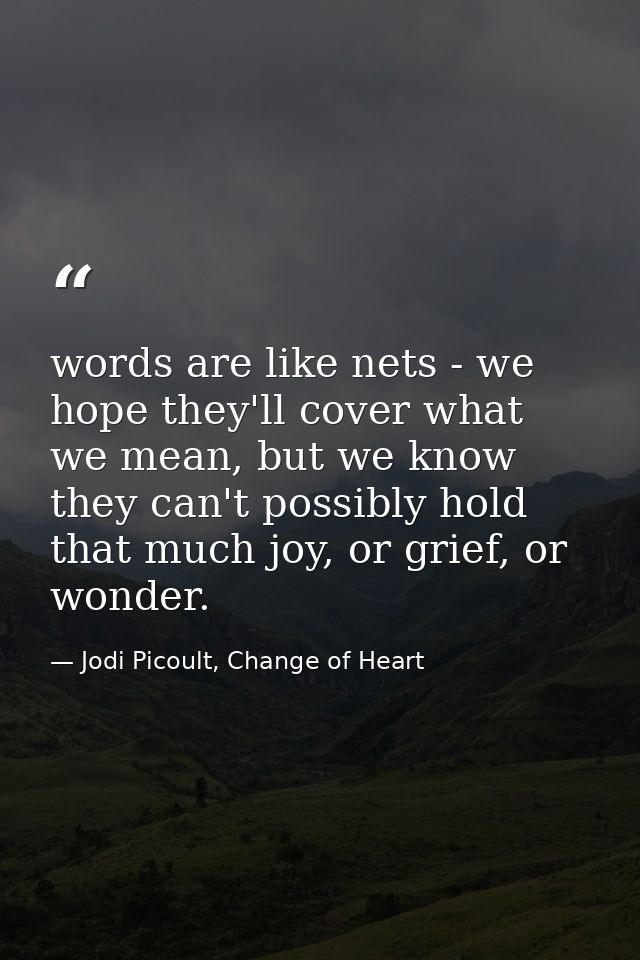 words are like nets - we hope they'll cover what we mean, but we know they can't possibly hold that much joy, or grief,  — Jodi Picoult, Change of Heart