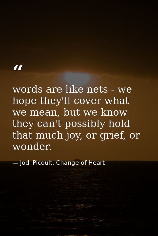 words are like nets - we hope they'll cover what we mean, but we know they can't possibly hold that much joy, or grief,  — Jodi Picoult, Change of Heart
