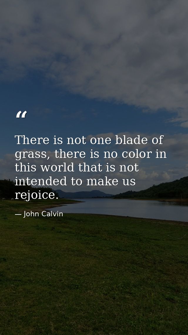 There is not one blade of grass, there is no color in this world that is not intended to make us rejoice. — John Calvin