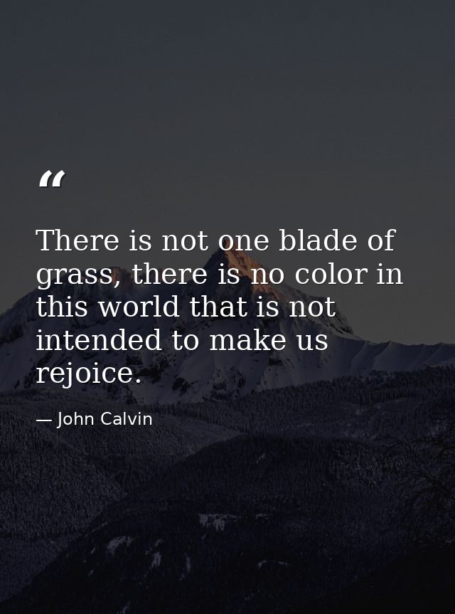 There is not one blade of grass, there is no color in this world that is not intended to make us rejoice. — John Calvin