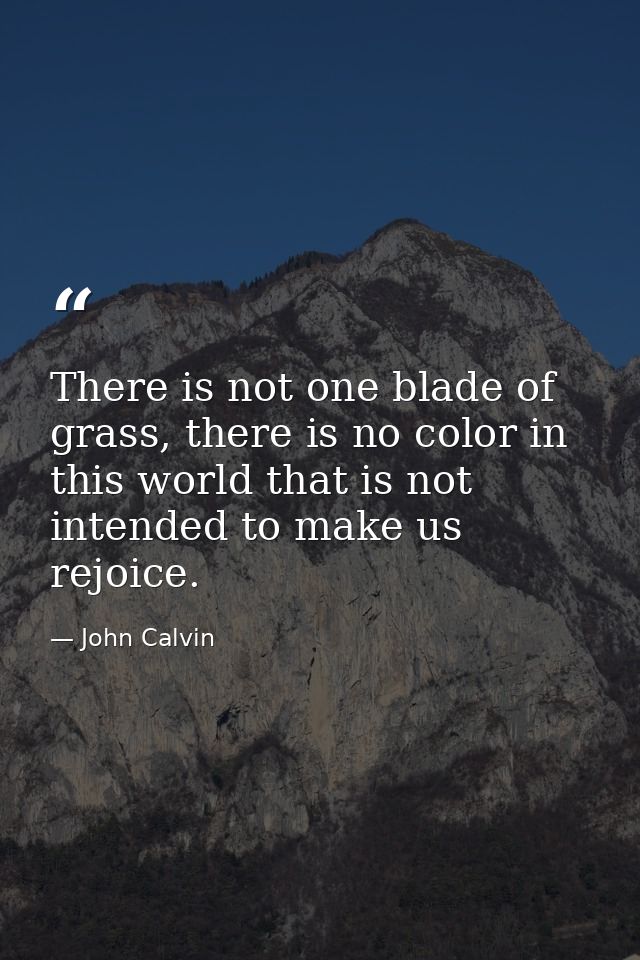 There is not one blade of grass, there is no color in this world that is not intended to make us rejoice. — John Calvin