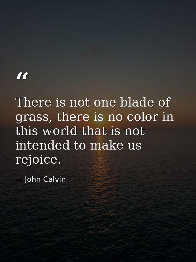 There is not one blade of grass, there is no color in this world that is not intended to make us rejoice. — John Calvin