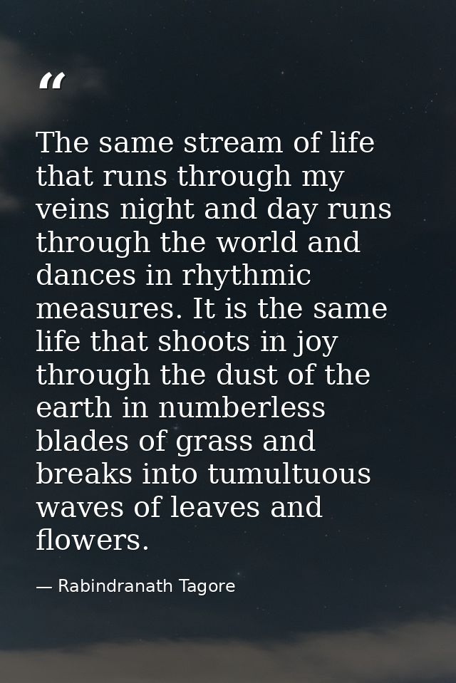 The same stream of life that runs through my veins night and day runs through the world and dances in rhythmic measures. — Rabindranath Tagore