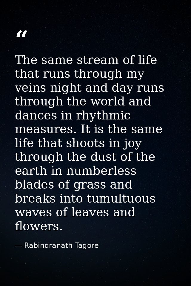 The same stream of life that runs through my veins night and day runs through the world and dances in rhythmic measures. — Rabindranath Tagore