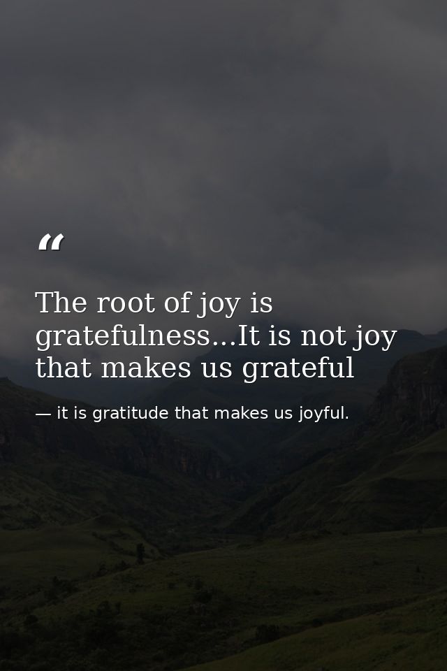 The root of joy is gratefulness...It is not joy that makes us grateful — it is gratitude that makes us joyful.