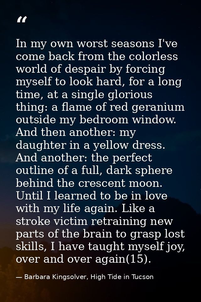 In my own worst seasons I've come back from the colorless world of despair by forcing myself to look hard, for a long ti — Barbara Kingsolver, High Tide in Tucson