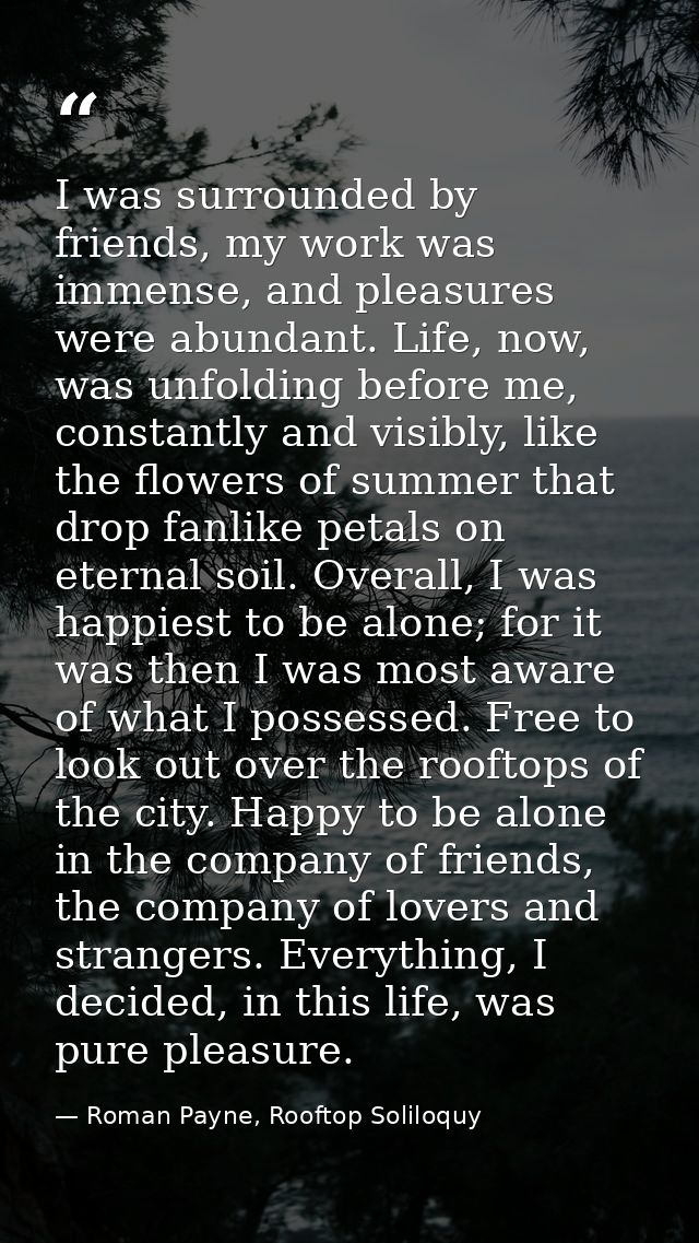 I was surrounded by friends, my work was immense, and pleasures were abundant. Life, now, was unfolding before me, const — Roman Payne, Rooftop Soliloquy