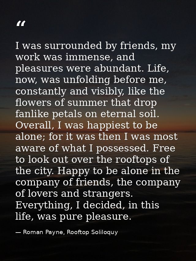 I was surrounded by friends, my work was immense, and pleasures were abundant. Life, now, was unfolding before me, const — Roman Payne, Rooftop Soliloquy
