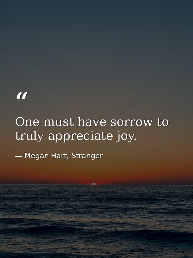 One must have sorrow to truly appreciate joy. — Megan Hart, Stranger
