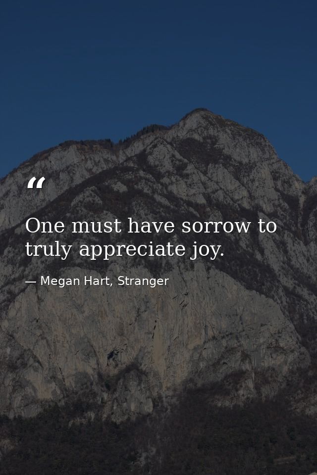 One must have sorrow to truly appreciate joy. — Megan Hart, Stranger
