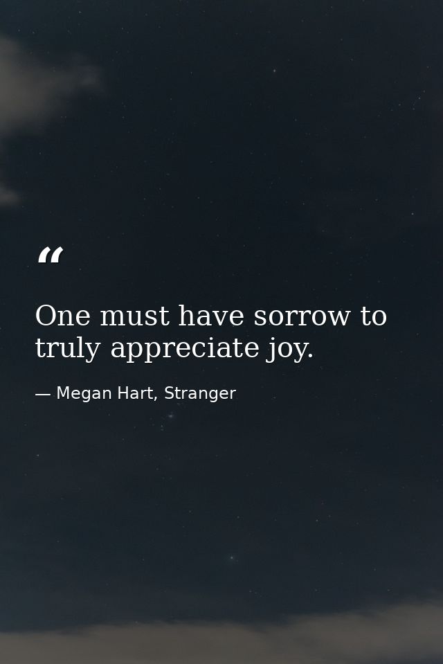 One must have sorrow to truly appreciate joy. — Megan Hart, Stranger