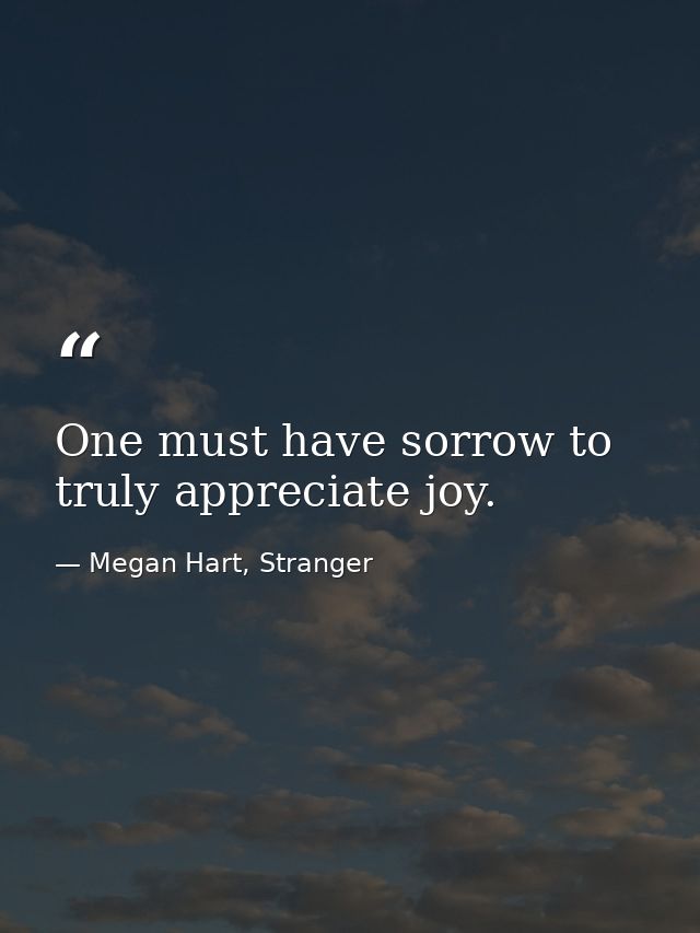 One must have sorrow to truly appreciate joy. — Megan Hart, Stranger