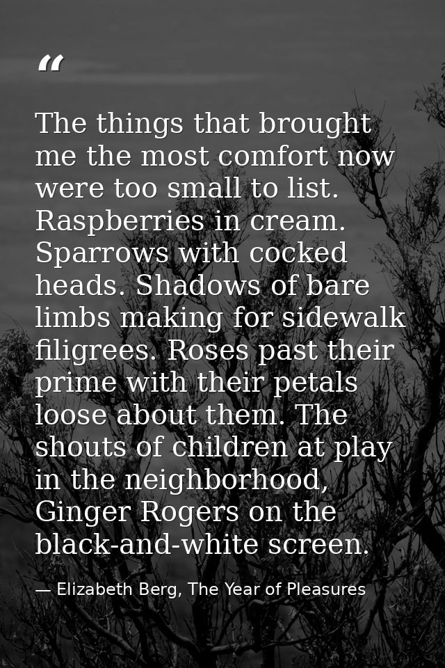 The things that brought me the most comfort now were too small to list. Raspberries in cream. Sparrows with cocked heads — Elizabeth Berg, The Year of Pleasures
