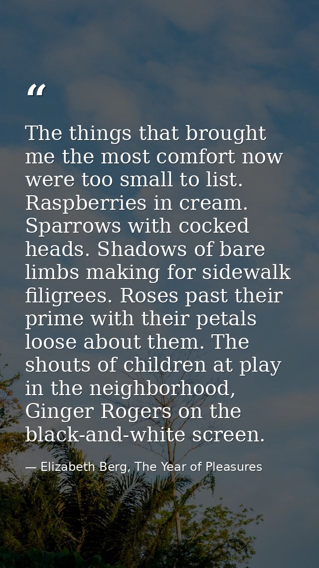 The things that brought me the most comfort now were too small to list. Raspberries in cream. Sparrows with cocked heads — Elizabeth Berg, The Year of Pleasures