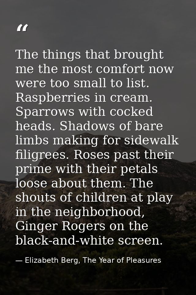 The things that brought me the most comfort now were too small to list. Raspberries in cream. Sparrows with cocked heads — Elizabeth Berg, The Year of Pleasures