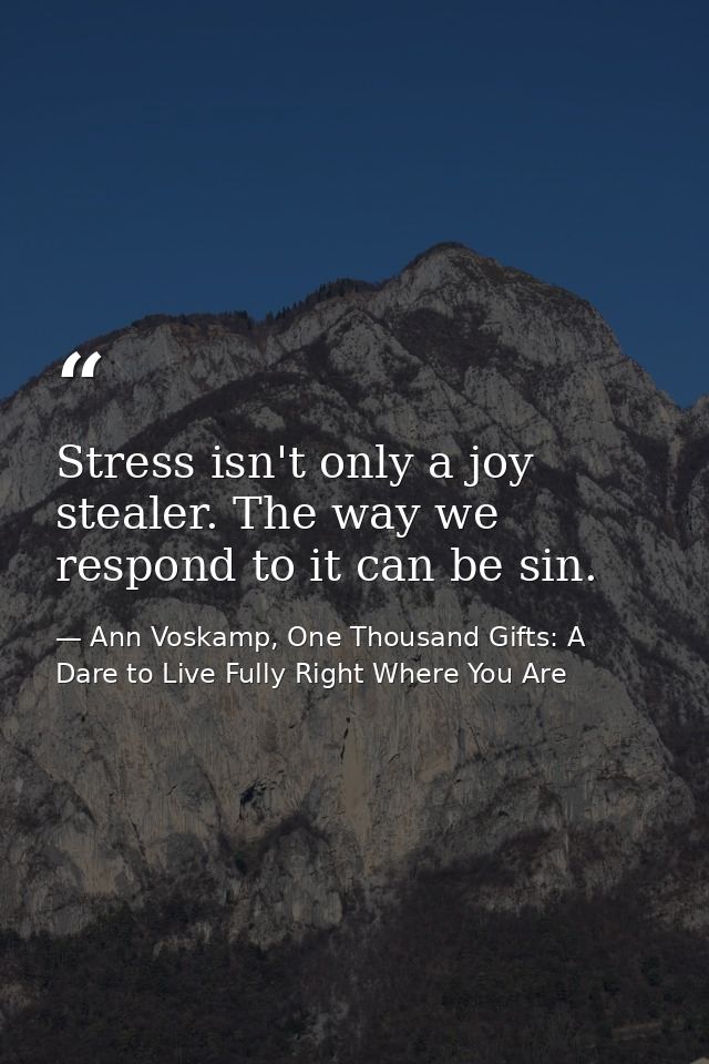 Stress isn't only a joy stealer. The way we respond to it can be sin. — Ann Voskamp, One Thousand Gifts: A Dare to Live Fully Right Where You Are