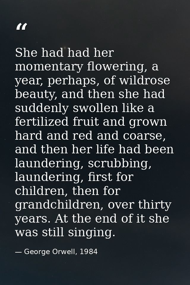 She had had her momentary flowering, a year, perhaps, of wildrose beauty, and then she had suddenly swollen like a ferti — George Orwell, 1984