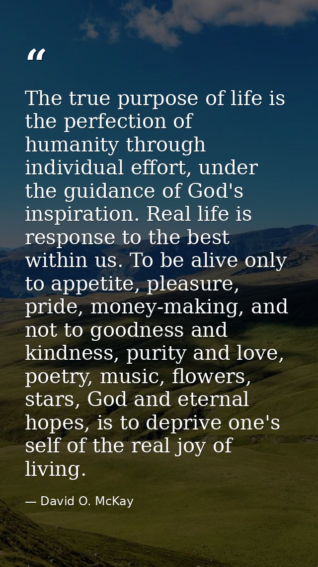 The true purpose of life is the perfection of humanity through individual effort, under the guidance of God's inspiratio — David O. McKay