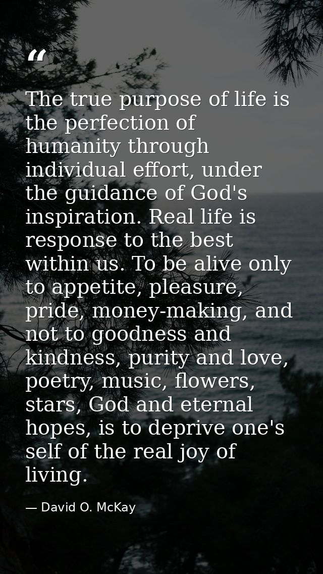 The true purpose of life is the perfection of humanity through individual effort, under the guidance of God's inspiratio — David O. McKay